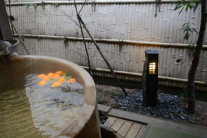 兵庫県の温泉はなぜ多彩？水が語る地質と泉質のひみつ【水道職人：プロ】