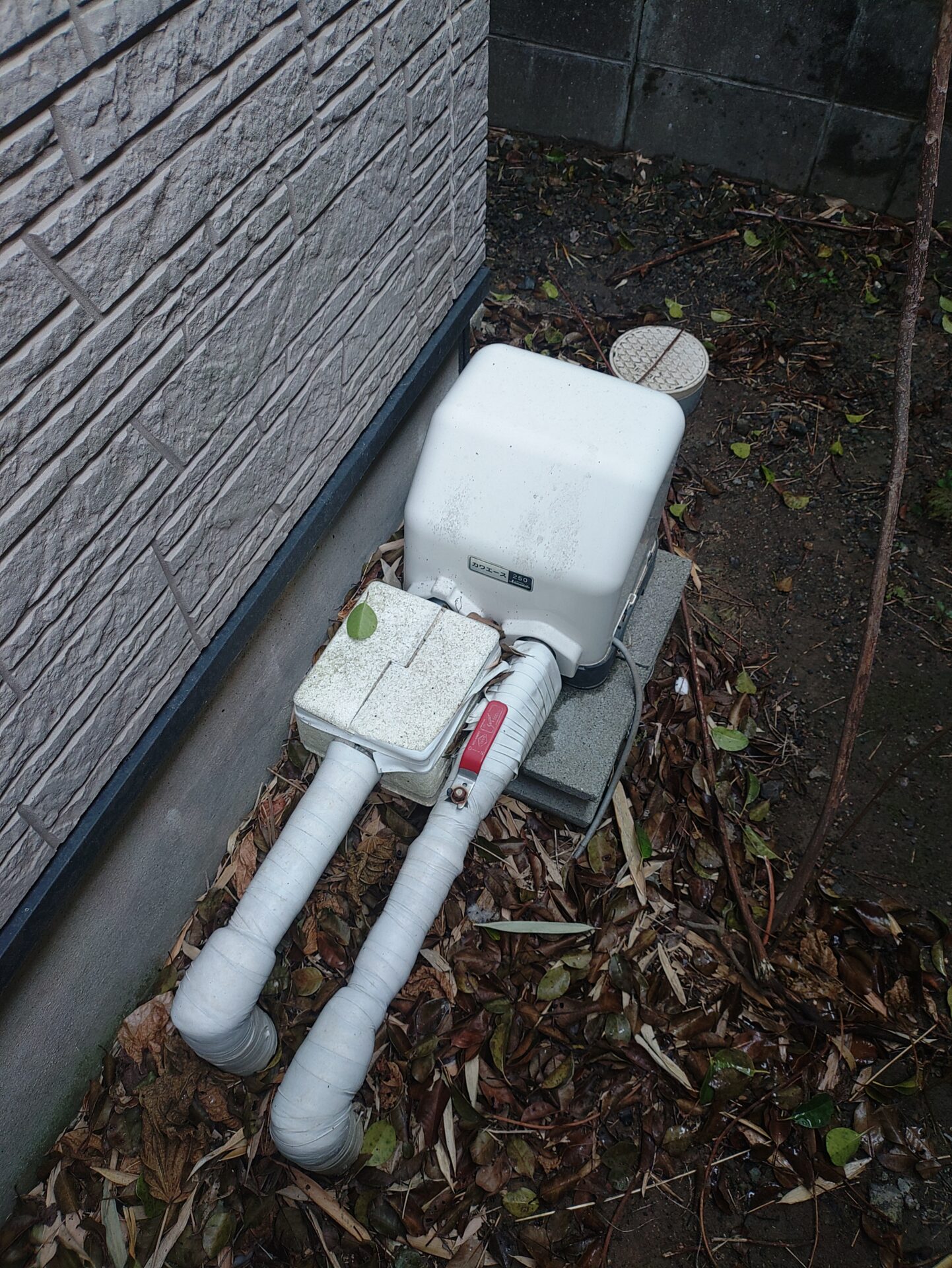 before